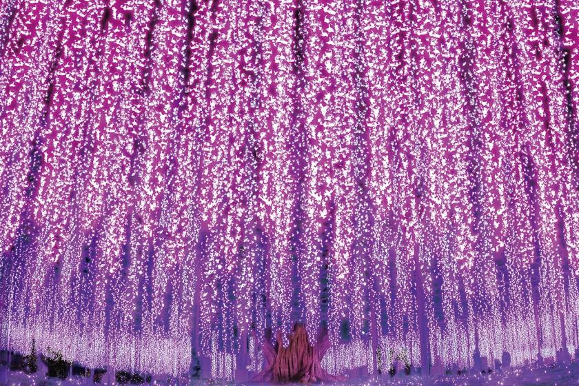 あしかがフラワーパーク「光の花の庭」入場券付プラン　[朝食付き]