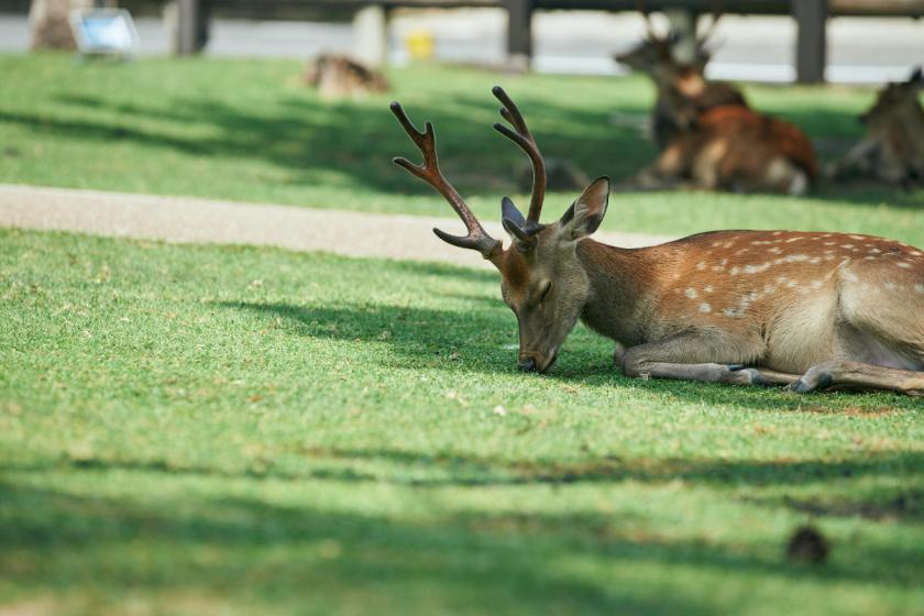 【朝食付】SETREで心と身体をリフレッシュ！／奈良を味わうこだわり朝食