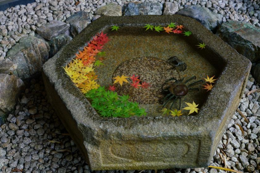 【紅葉の美を巡る 国の重要文化財】一条恵観山荘 入園券付き宿泊プラン～素泊まり～