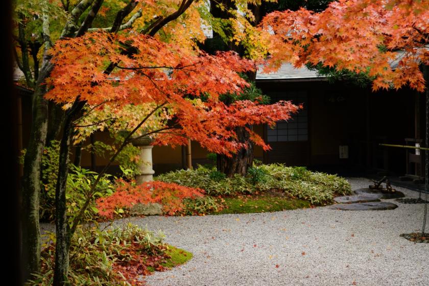 【紅葉の美を巡る 国の重要文化財】一条恵観山荘 入園券付き宿泊プラン（朝食付き）