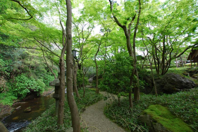 【紅葉の美を巡る 国の重要文化財】一条恵観山荘 入園券付き宿泊プラン（朝食付き）
