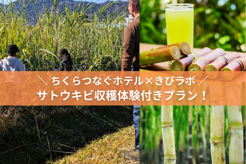 【自然体験で地域を満喫】南房総サトウキビ収穫体験～無農薬栽培で作ったサトウキビ生ジュース～(夕朝食付)