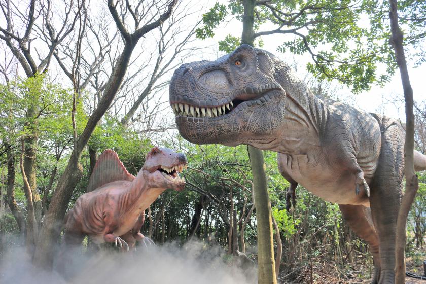 【お得なスーパーパスポート付き　芝政ワールド】芝政ワールドで遊ぶ＆吉祥で寛ぐお得なコラボレーション