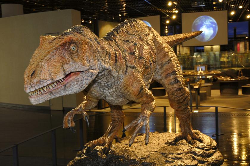 【お得な入館券付き　福井恐竜博物館】学ぶ恐竜の進化　国内最大級の恐竜博物館＆吉祥のコラボレーション