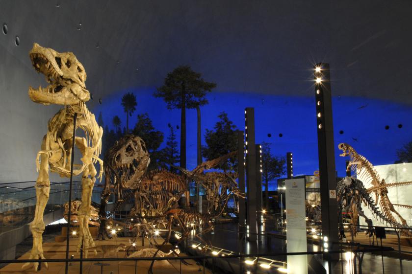 【お得な入館券付き　福井恐竜博物館】学ぶ恐竜の進化 国内最大級の恐竜博物館＆吉祥のコラボレーション