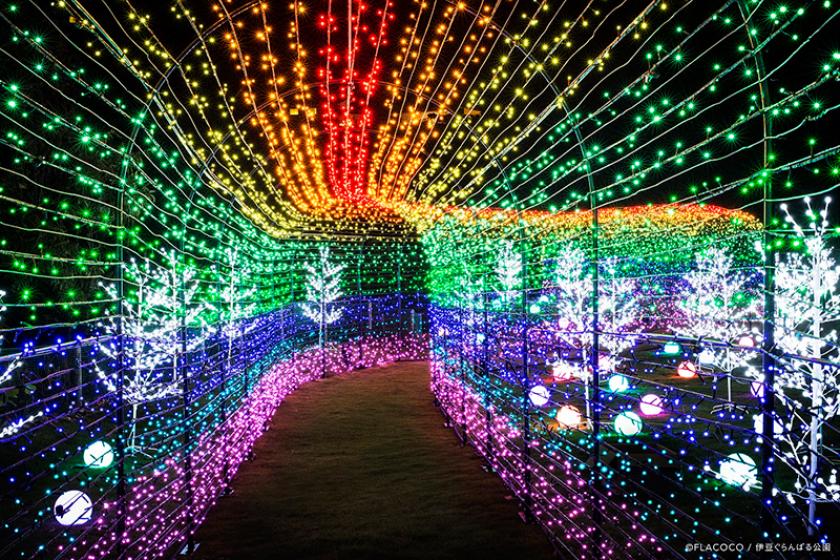 【体験型イルミネーション　グランイルミ入園券付き】　 光と感動が彩る幻想の夜