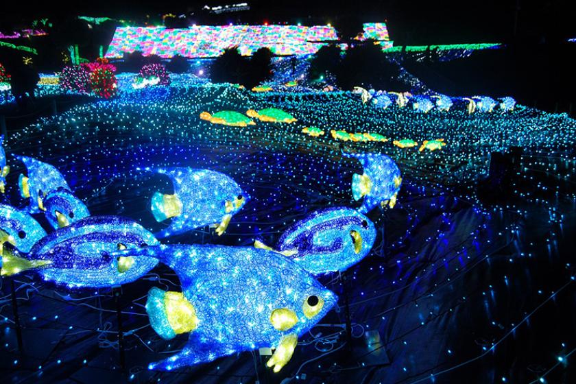 【体験型イルミネーション　グランイルミ入園券付き】　 光と感動が彩る幻想の夜