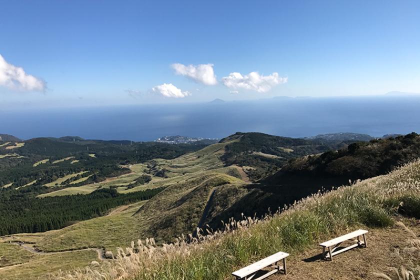 【ススキ鑑賞】黄金の海を見に行こう♪ 秋風に揺れるススキとみかん収穫体験♪