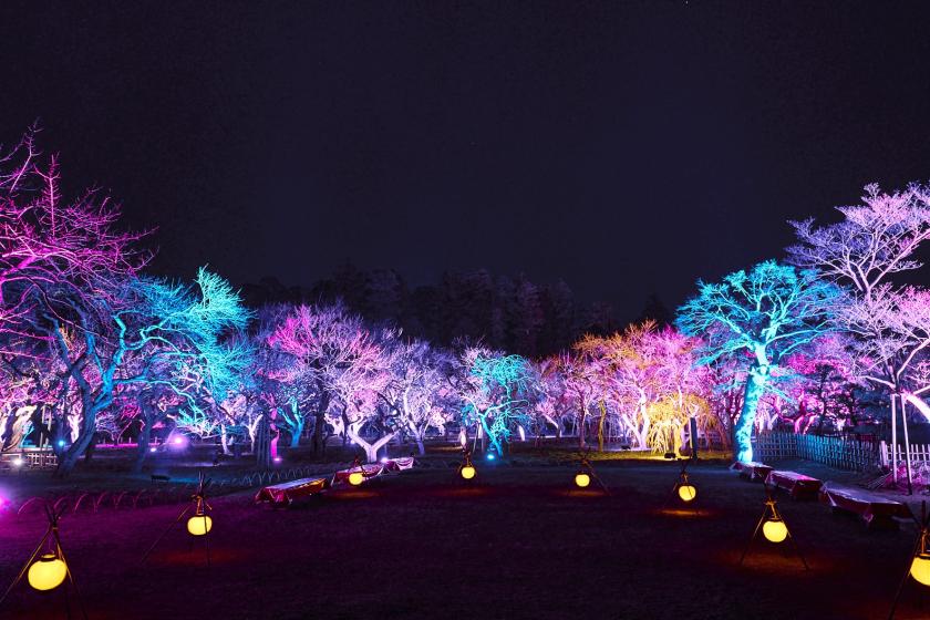 ◆梅まつりプラン◆偕楽園ライトアップイベントのチケット付き宿泊プラン♪（朝食付）