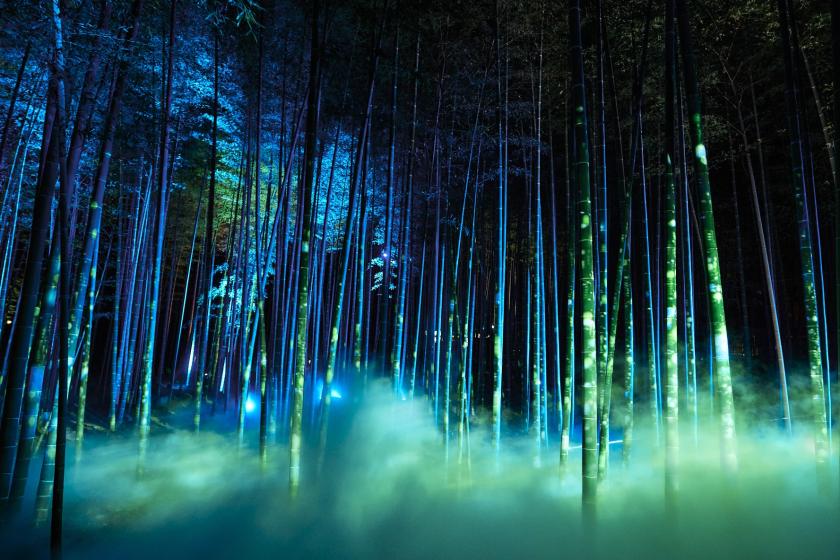 ◆梅まつりプラン◆偕楽園ライトアップイベントのチケット付き宿泊プラン♪（朝食付）