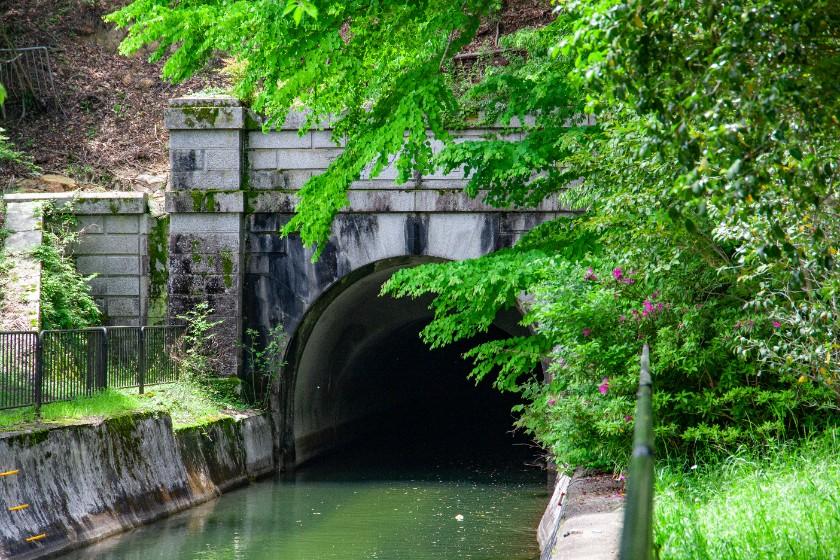 【公式HP限定】3月～5月のお日にち限定　 古都が、魔法にかかる季節、春。心ときめく京の美。　‐朝食付き‐