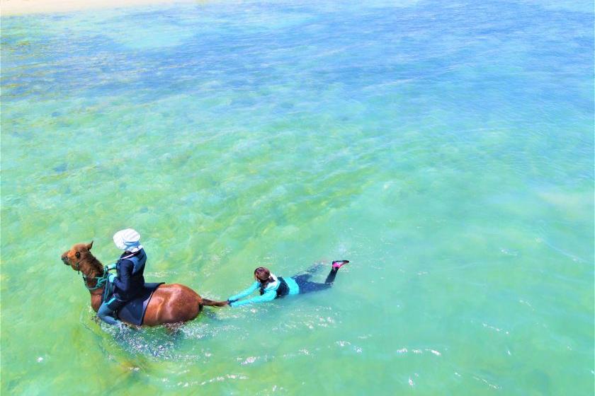 （お１人でのご参加）海馬遊び