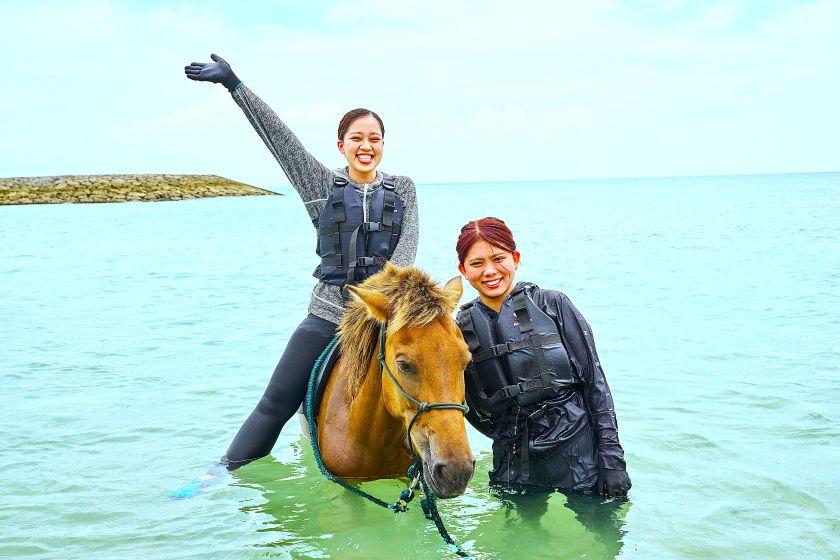 （お１人でのご参加）海馬遊び