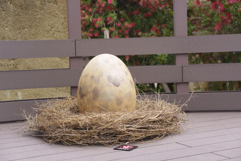 モンスターハンターコラボルーム「マイハウスのコクーン」宿泊プラン(朝食付)