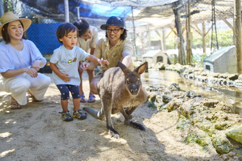【洗濯機・電子レンジ・冷蔵庫完備　広々和室に泊まる】畳の香りに癒される　小さいお子様がいても安心♪和室モニターステイ　館内利用券5,000円プレゼント