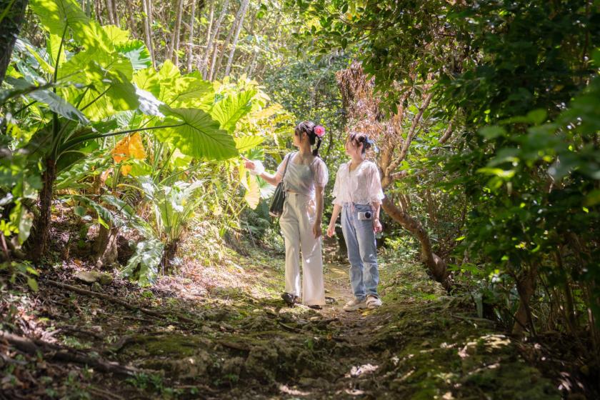 【快適ステイ応援】宮古島ゆったり連泊プラン【素泊まり】