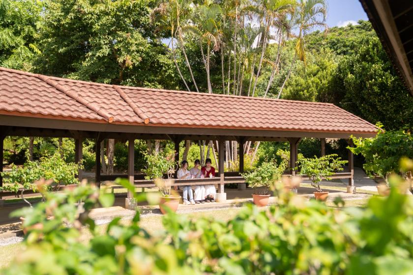 【気の合う仲間と】ゆるり島時間満喫　ロングステイプラン【素泊まり】