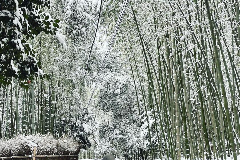 【タイムセール】京都観光の拠点に！のんびり寛ぐステイプラン【朝食ビュッフェ付】