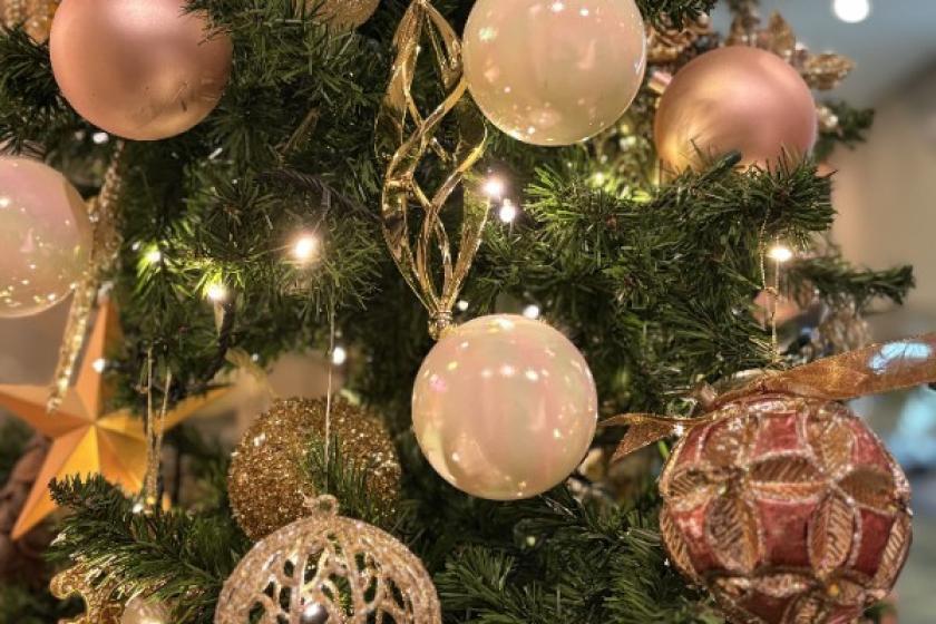 クリスマス2025★宿泊限定 Suicaのペンギン クリスマスケーキ付きプラン　朝食付