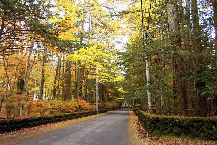 【素泊り】北投石の湯でゆったり、気軽にのんびり宿泊プラン