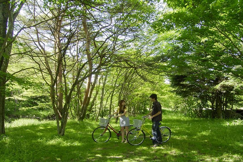 【素泊り】北投石の湯でゆったり、気軽にのんびり宿泊プラン