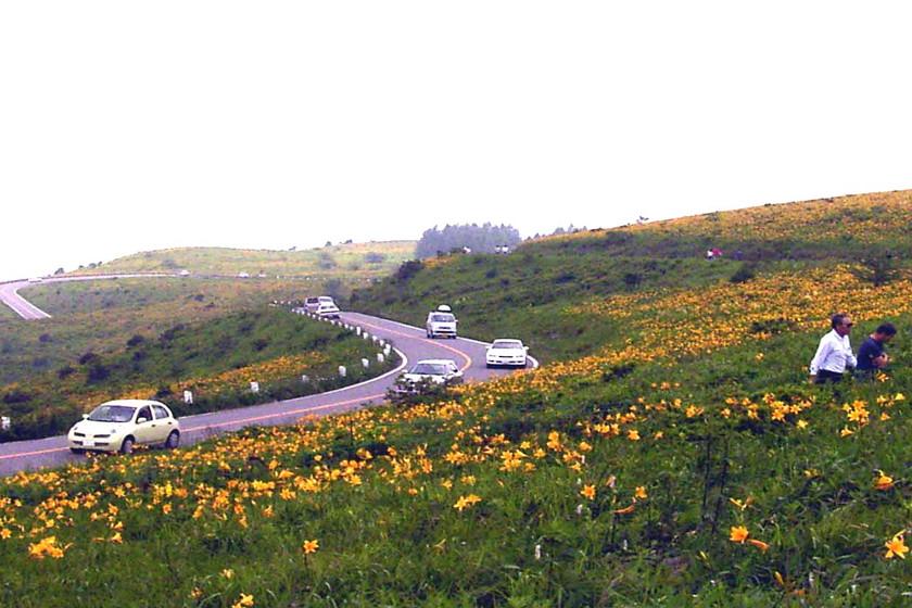 ＜公式HP限定最低価格保証＞【朝食付】和食・洋食・サラダ・デザート・お茶漬け・パンなど約20種の朝ごはん