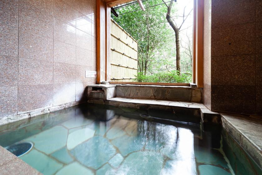 【素泊まり（食事なし）】☆お得に箱根を満喫♪自然と文化の旅☆【無料駐車場付プラン】