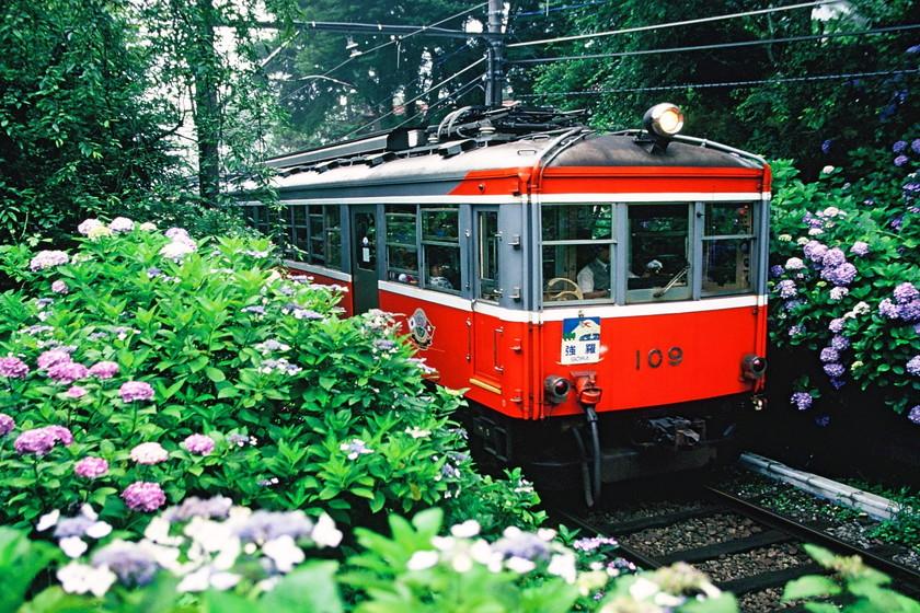 【素泊まり（食事なし）】☆お得に箱根を満喫♪自然と文化の旅☆【無料駐車場付プラン】
