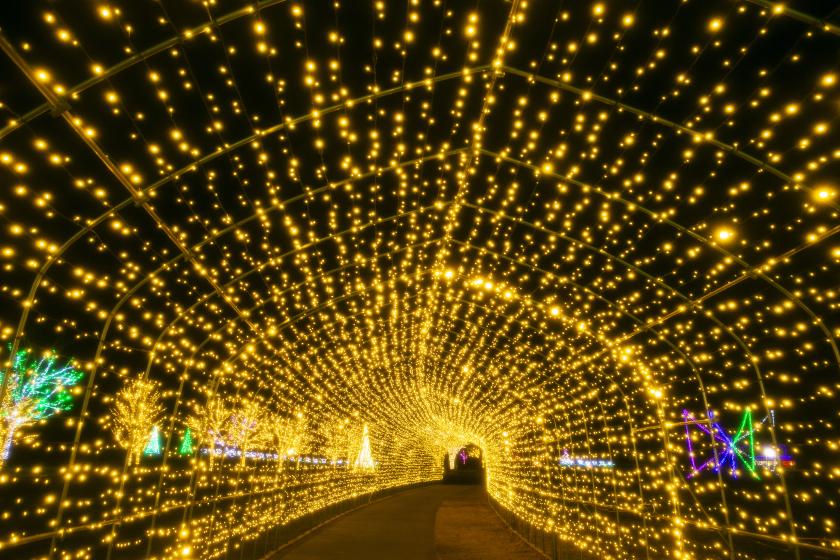 ☆☆KOIWAI Winter Lights 銀河農場の夜 貸切タクシーで巡る盛岡手づくり村と小岩井農場まきば園 《朝食付》☆☆