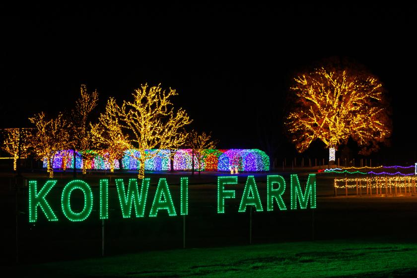 ☆☆KOIWAI Winter Lights 銀河農場の夜 貸切タクシーで巡る盛岡手づくり村と小岩井農場まきば園 《朝食付》☆☆