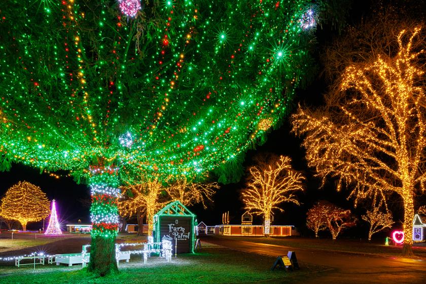 ☆☆KOIWAI Winter Lights 銀河農場の夜 貸切タクシーで巡る盛岡手づくり村と小岩井農場まきば園 《朝食付》☆☆