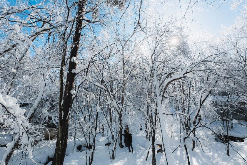 オールインクルーシブ！夕食・朝食・アクティビティ付き