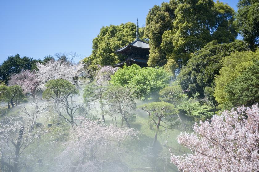 春のランチビュッフェ2026 【土日祝】HP
