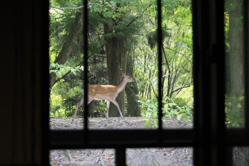 【別邸】ツインルーム（紅葉谷公園側）