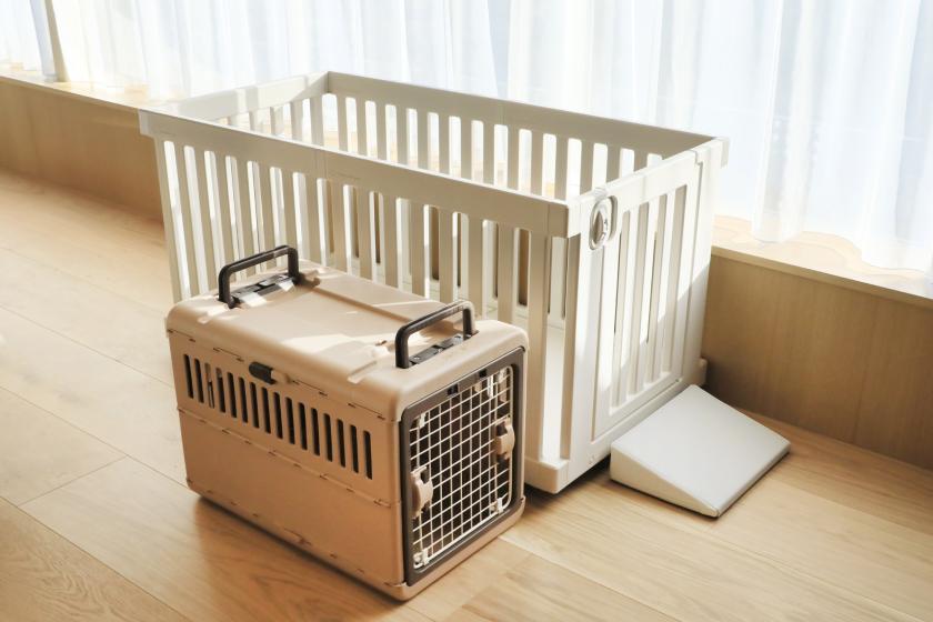 【朝食付き】～愛犬と過ごす贅沢な朝～　1泊朝食付きプラン