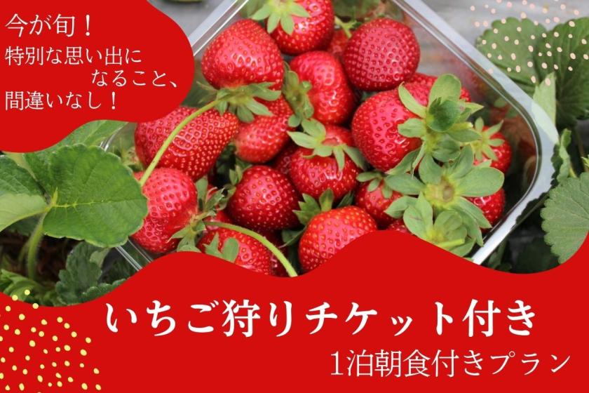 【冬春限定！】みんなで摘む いちご狩りチケット付きプラン