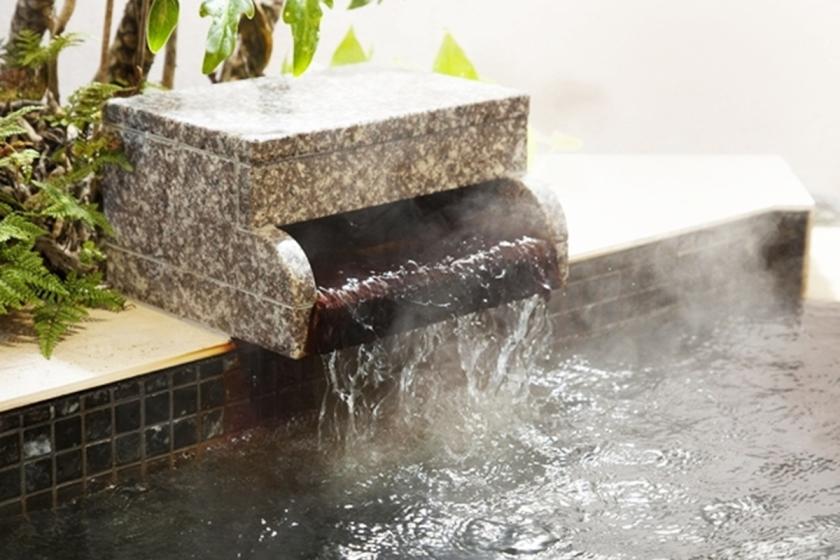 ◇祝◇奄美大島世界自然遺産登録記念 奄美の鶏飯御膳◇朝夕2食付きプラン