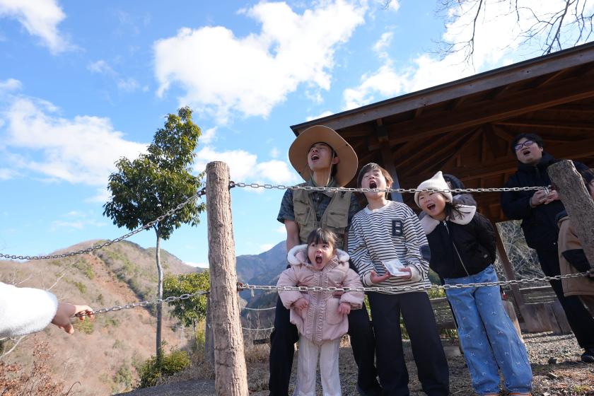 【8/7限定】神明の花火大会 観覧席付｜夕朝食＋飲み放題＋託児＋全アクティビティ付｜オールインクルーシブ