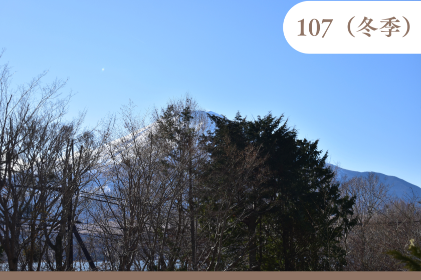 １階　ガーデンスーペリア（107号室）