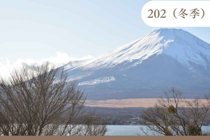 ２階　スタンダード（202/203号室）