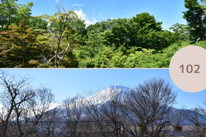 １階　スタンダード（102/103/104/105/106号室）