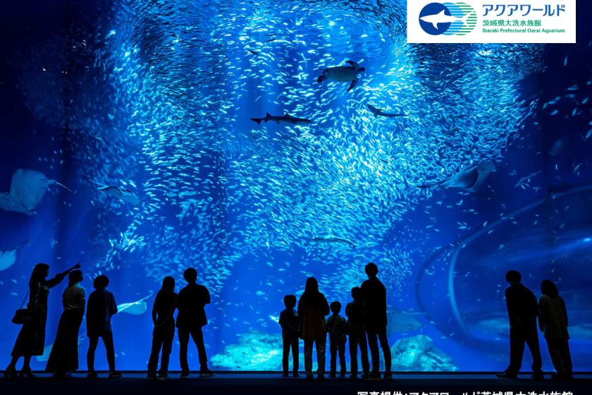 アクアワールド大洗水族館入場券付き！ コラボレーションルームご宿泊プラン(素泊り)