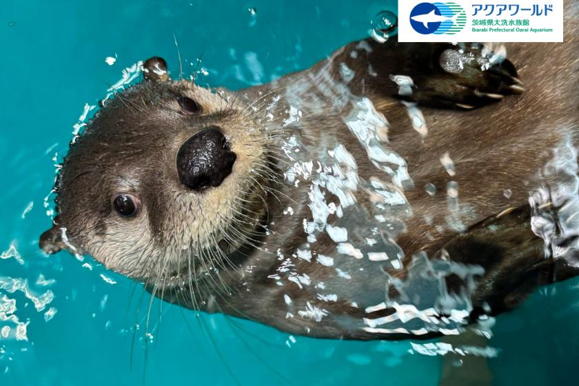 アクアワールド大洗水族館入場券付き！ コラボレーションルームご宿泊プラン(素泊り)
