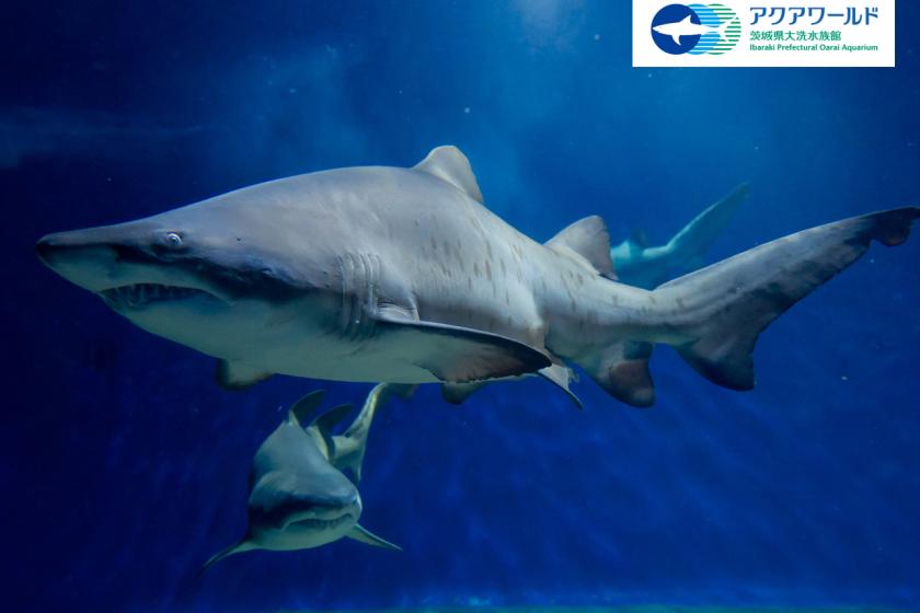 アクアワールド大洗水族館入場券付き！ コラボレーションルームご宿泊プラン(素泊り)