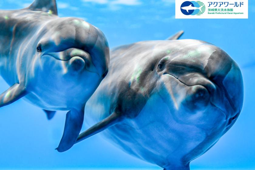 アクアワールド大洗水族館入場券付き！ コラボレーションルームご宿泊プラン(素泊り)