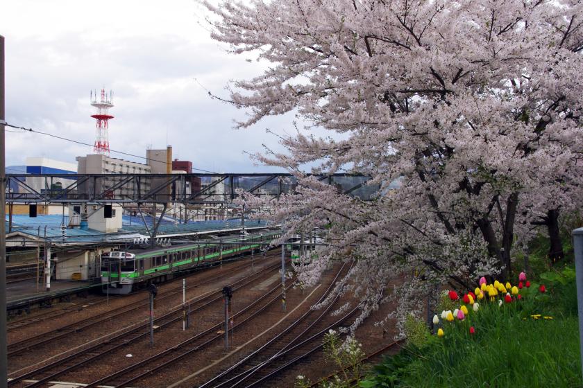 【期間限定】ご優待スプリングセールプラン／えらべる朝食付
