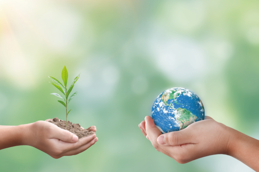 【ホテルに泊まって社会貢献！】CO₂ゼロSTAYプラン