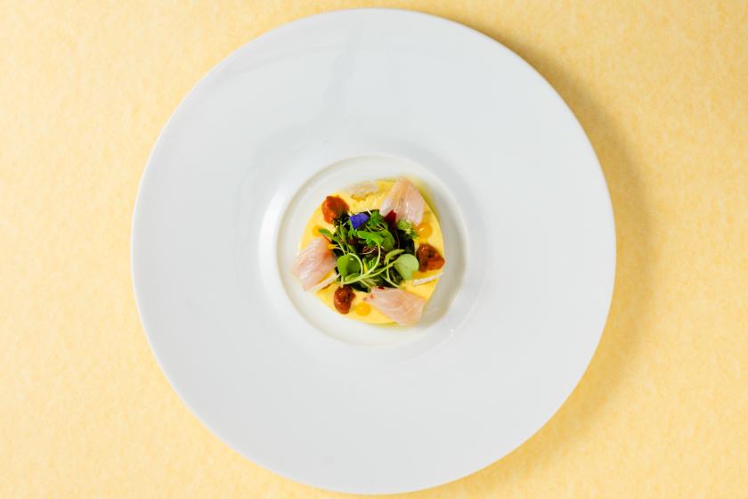 [1 night, 2 meals included] Gourmet Travel Plan (French Dinner)