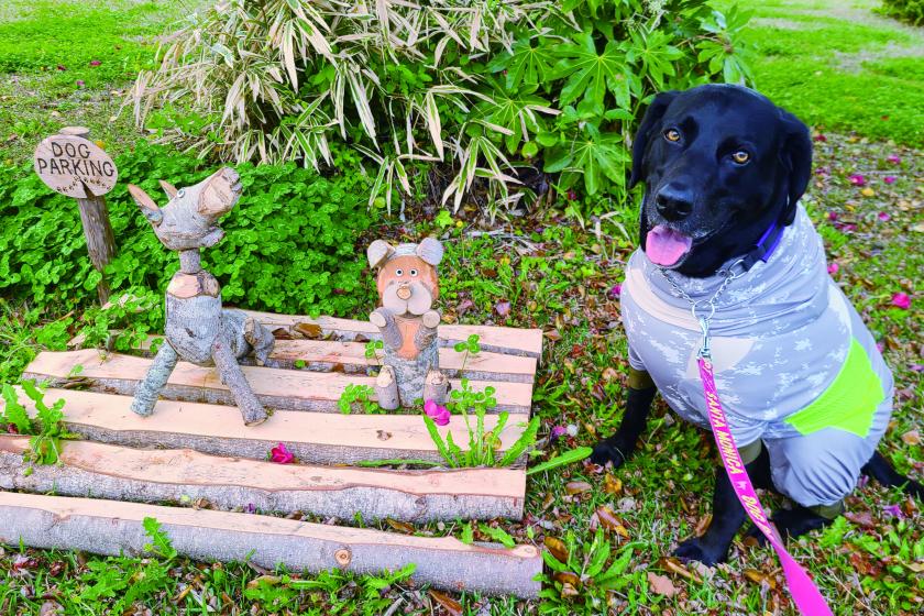 フォレストヴィラDOG（大型犬まで）：41.8㎡（テラス・専用庭付き）