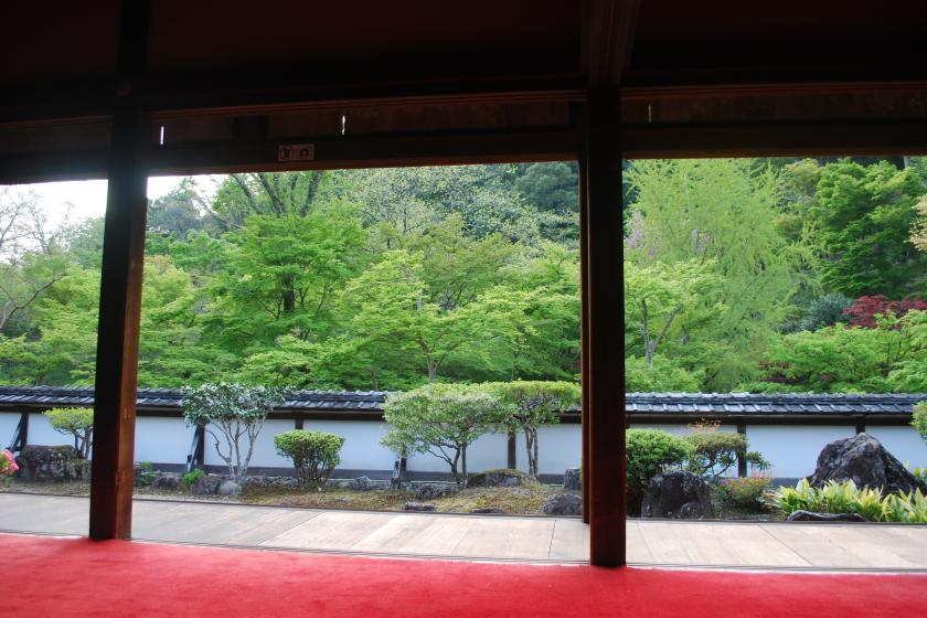 【2026年6月　奈良ホテルプラス】正暦寺 夜間蛍鑑賞と菩提酛清酒飲み比べ体験【朝食付】